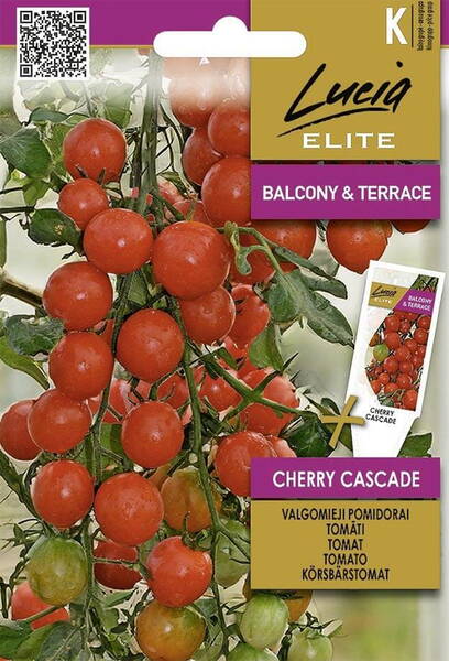 Tomaatti "Cherry Cascade"